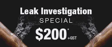Leak Investigation Discount Palm Beach